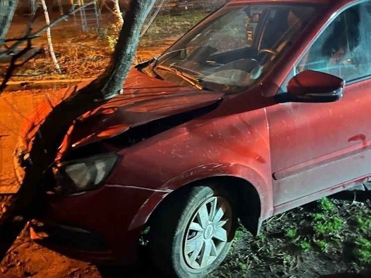 «Лада Гранта» влетела в дерево в Воронеже: пострадал водитель