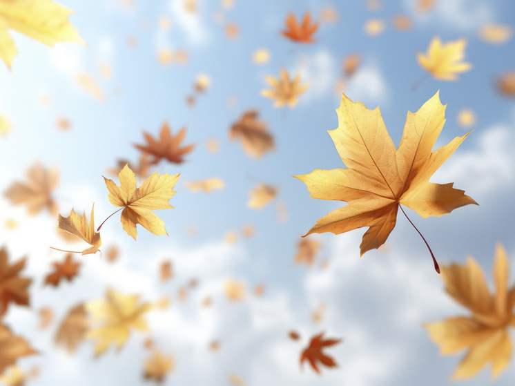 11 градусов тепла прогнозируют в Херсонской области 4 декабря