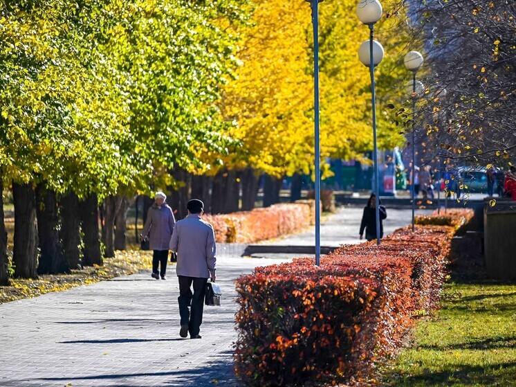 Гороскоп для всех знаков зодиака на 4 декабря 2025 года