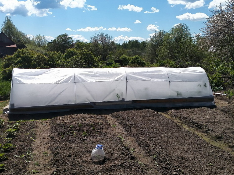 В Волжске участник СВО добился выделения земли в льготном порядке