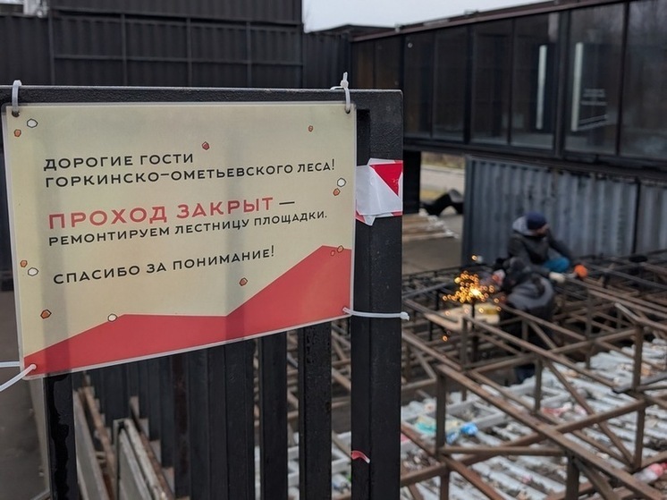 В Горкинско-Ометьевском лесу Казани обновляют амфитеатр Cube