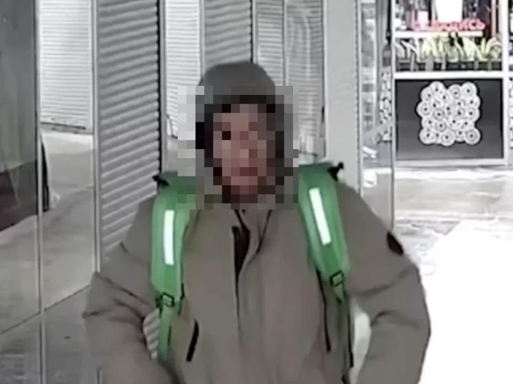 Юрист объяснила, какое наказание грозит курьеру за нападение на пенсионерку в Новосибирске