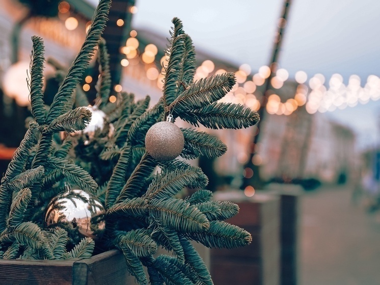 Почему детям в Туле важно верить в Деда Мороза: мнение психолога