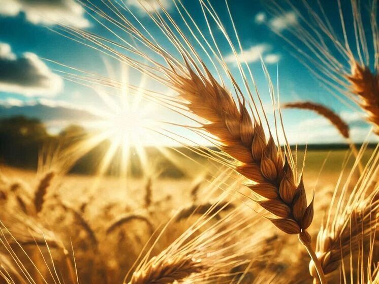 В Орловской области допустили нарушения при обработке рапсовых и пшеничных полей