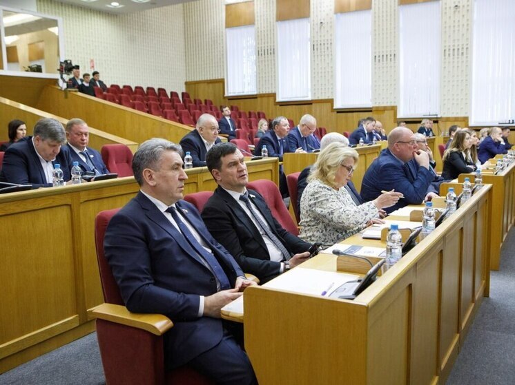 Воронежская областная дума одобрила проект трехлетнего бюджета в первом чтении