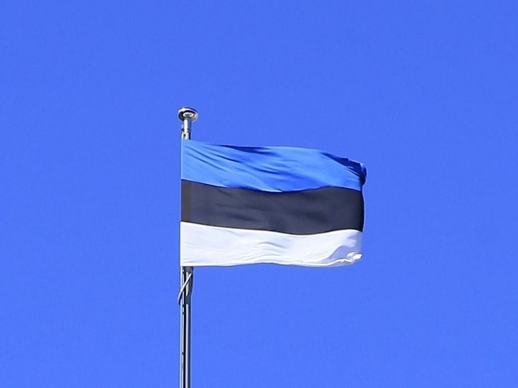 Коммусаар: власти Эстонии выделят €460 млн на «стену дронов» в течение четырех лет