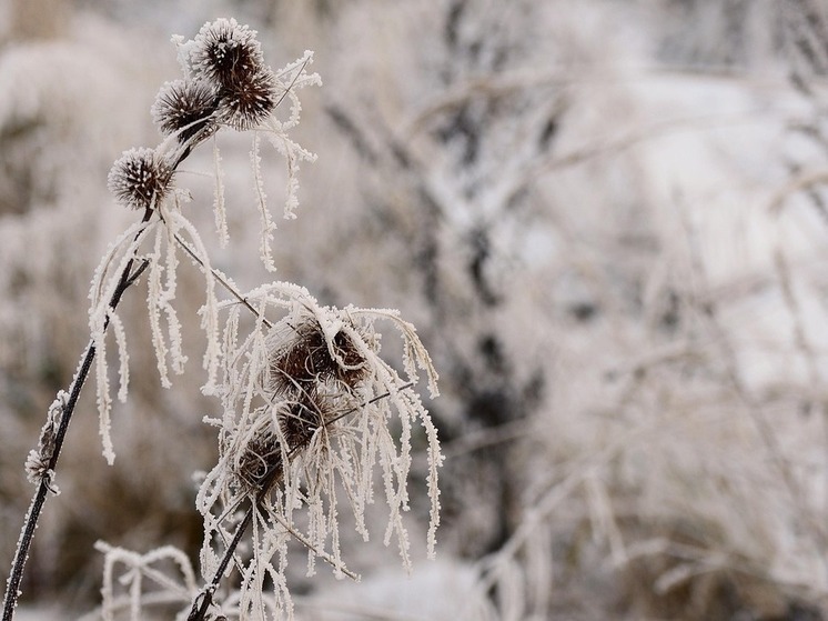 Хабаровский край ждет экстремальное похолодание