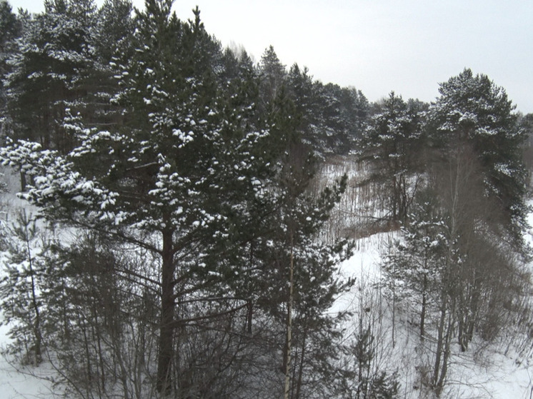 Суд отправил на новое рассмотрение дело о махинациях с землей в Юкковском поселении