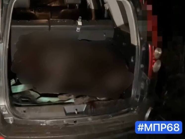 Кабан в багажнике иномарки: в Тамбовской области ночной рейд пресек браконьерство