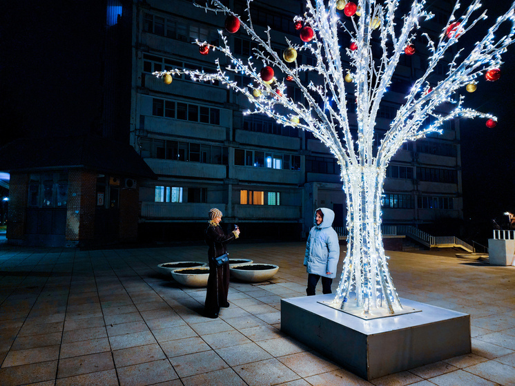 В Пущино «выросли» светящиеся деревья