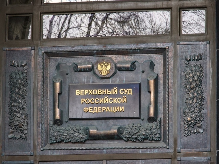 Адвокат Богославцева: Верховный Суд создаст правовой ориентир, пересмотрев дело Долиной