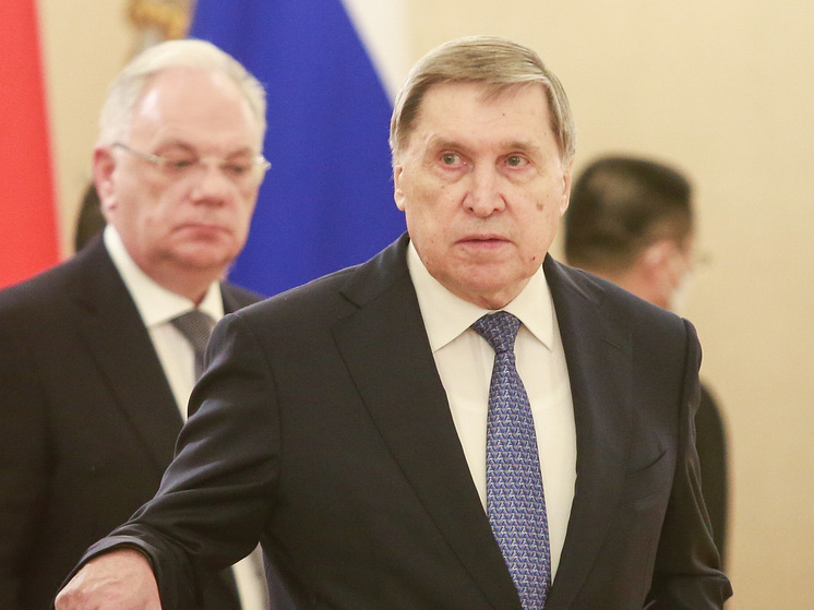 Ушаков: беседа Путина и Уиткоффа носила положительный характер