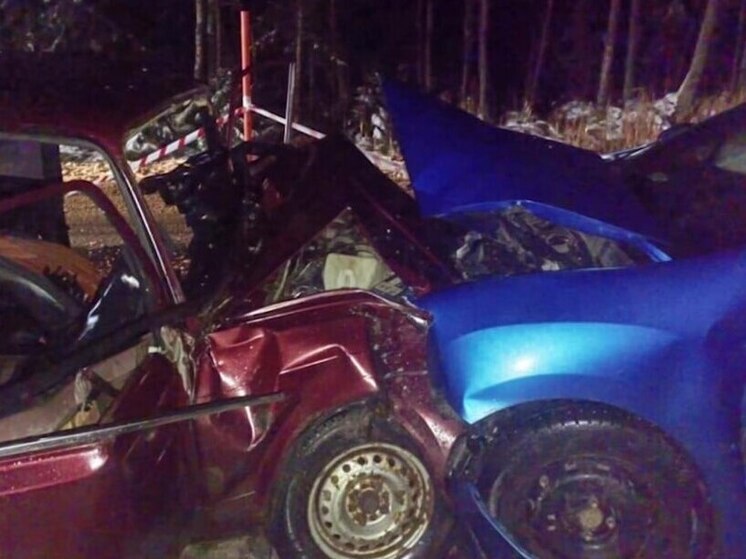 В Новгородской области участились лобовые аварии со смертельным исходом