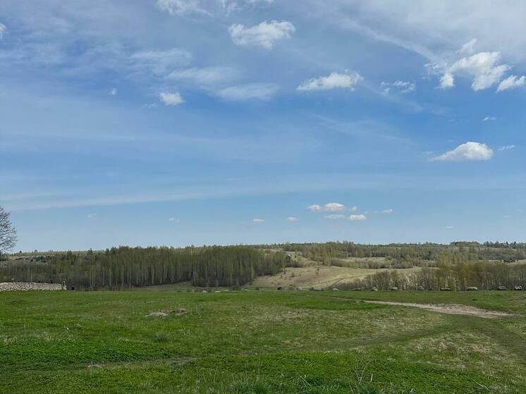 Беспилотники в Калининграде обнаружили бесхозные земли