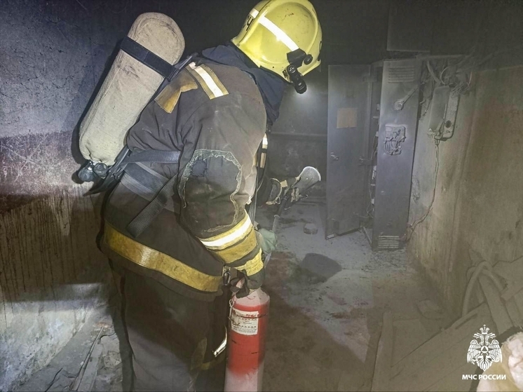 В Омске при пожаре в подвале дома спасли двух детей