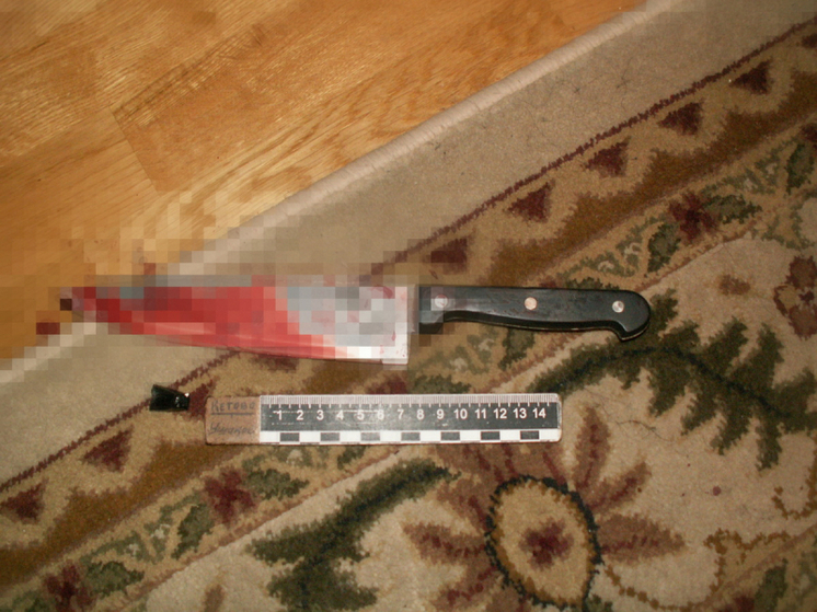 Тулячка заключена под стражу за убийство сожителя в ходе попойки