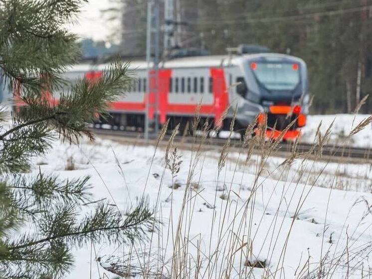 В Ярославской области под электричкой погиб пешеход