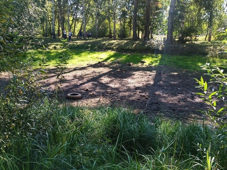 32 тысячи гектаров свердловских лесов восстановили после пожаров