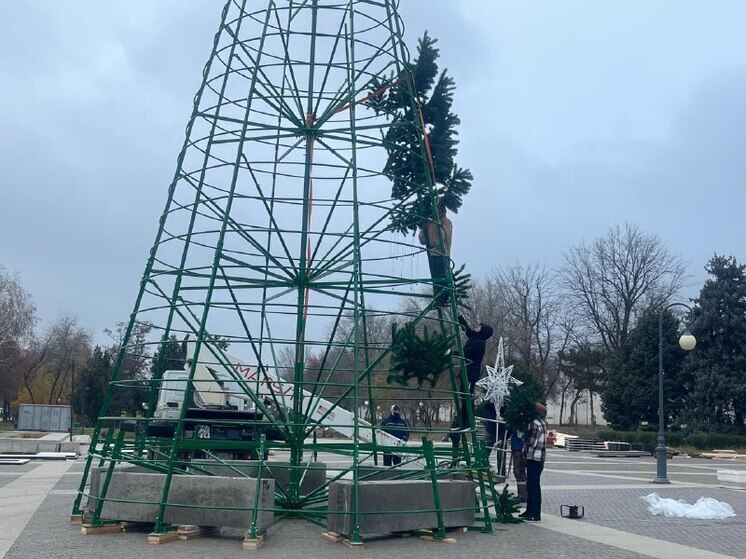 Главную городскую ёлку в Астрахани установят на площади Ленина