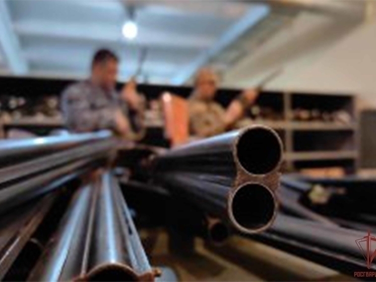 В Тульской области мужчину лишили права на охоту на год за нарушение сроков