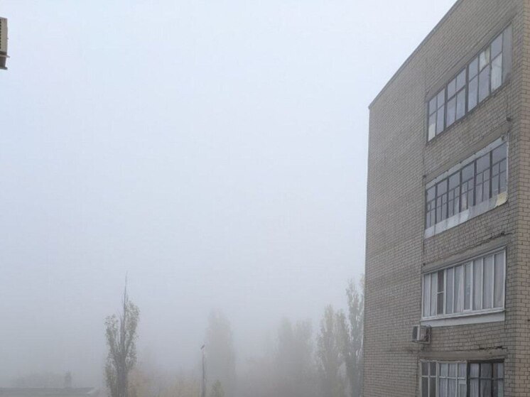 Туман спровоцировал погодную опасность в Воронежской области