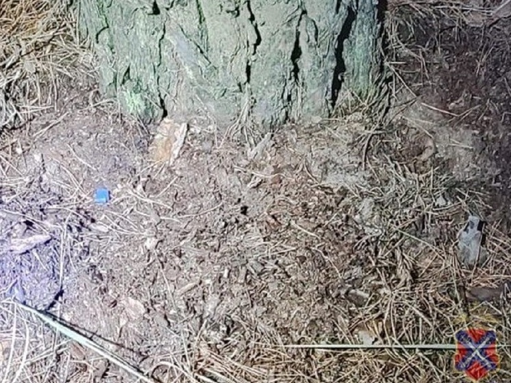 Жителя Волгоградской области подозревают в незаконном обороте наркотиков