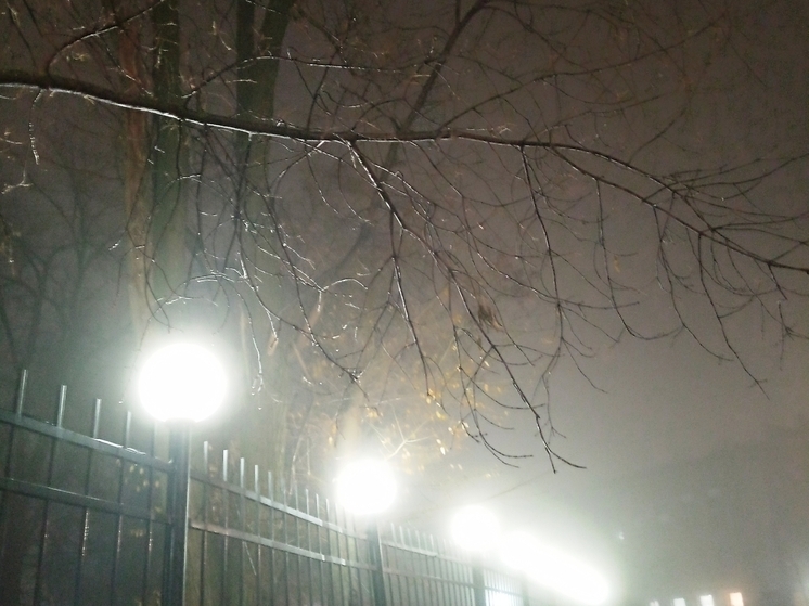 Сила магнитной бури 4 декабря составит 5 баллов: удачное время для решительных шагов