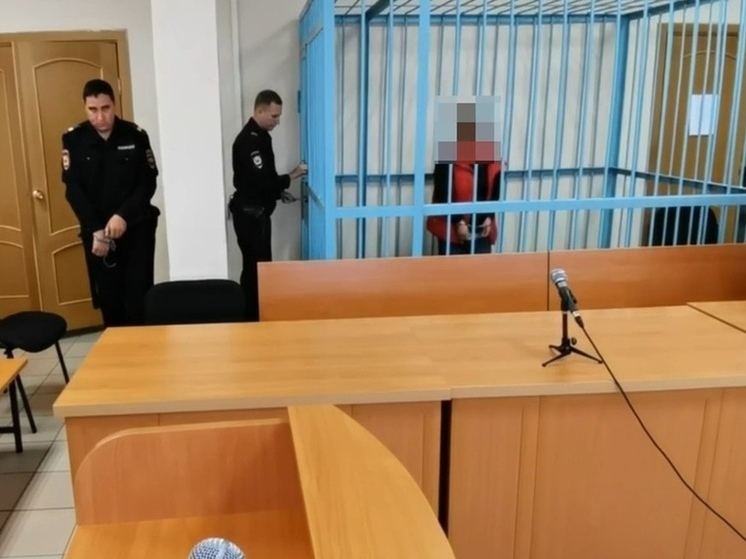 Уголовное дело о смертельном ударе ножом в Краснохолме направлено в суд