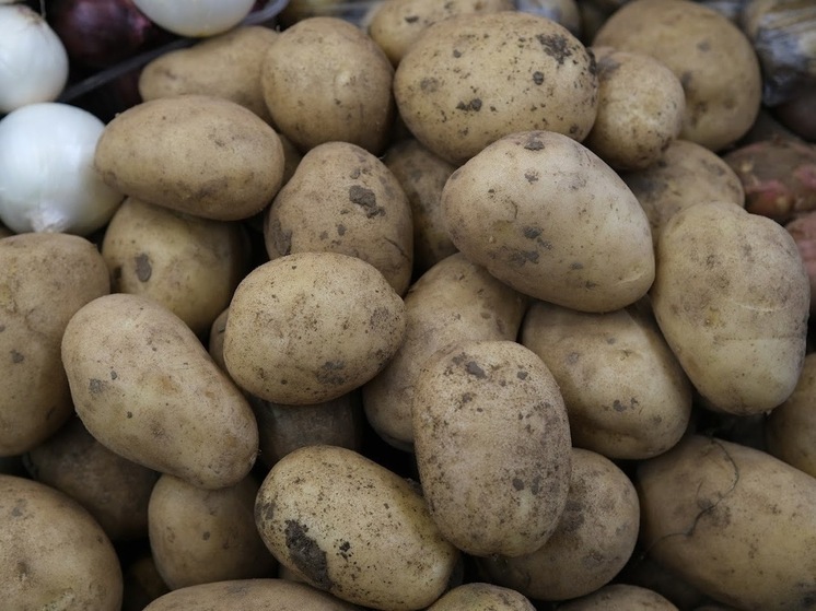 В Волгоградской области отмечается рост цен на картофель и огурцы