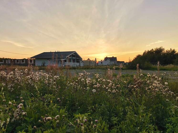 Русская мечта: мода на загородные дома набирает популярность среди северян