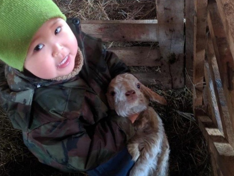 Многодетные семьи Калмыкии могут принять участие в конкурсе «Лучшее семейное хозяйство»