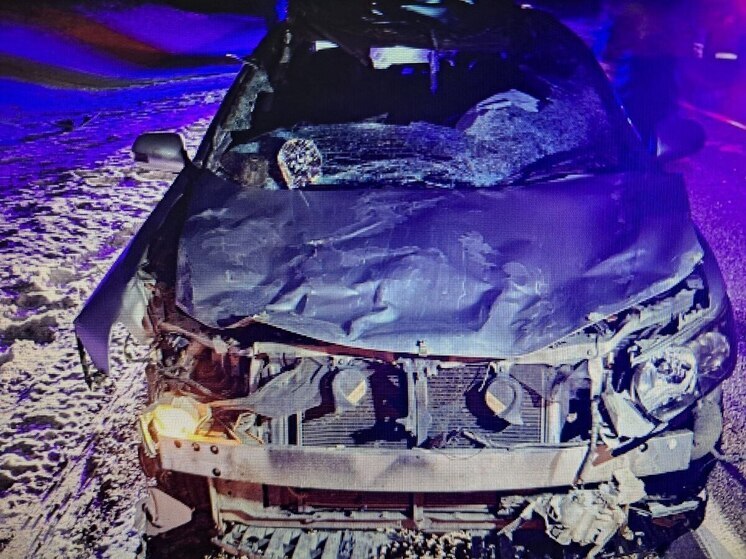 Иномарка сбила лошадь в Забайкалье, два человека пострадали