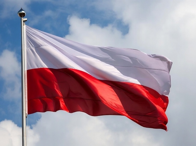 Президент Польши потребовал Туска извиниться за слова о выплатах жертвам нацизма