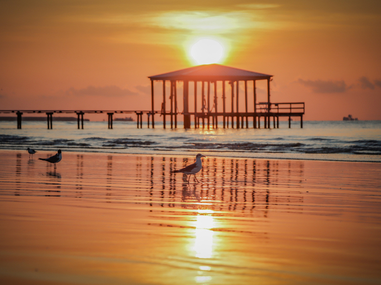 Эксперты раскрывают секреты выгодных путешествий из Новосибирска