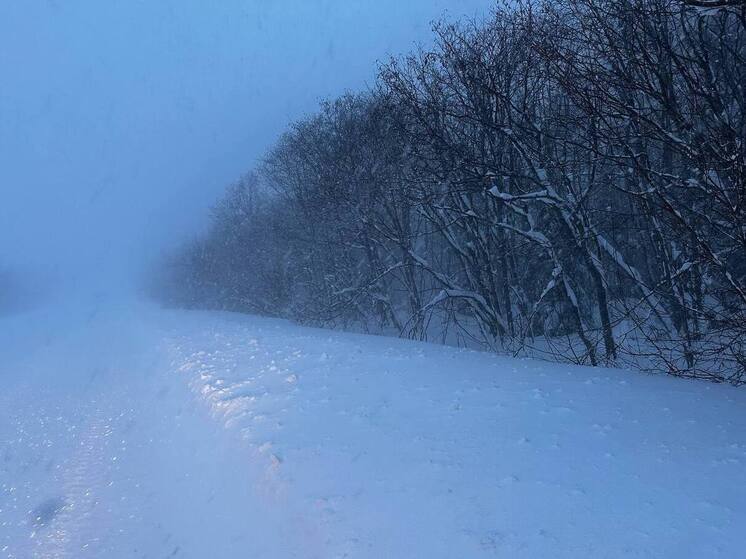 Из-за сильной метели на севере Сахалина перекрыли автодорогу Оха — Москальво