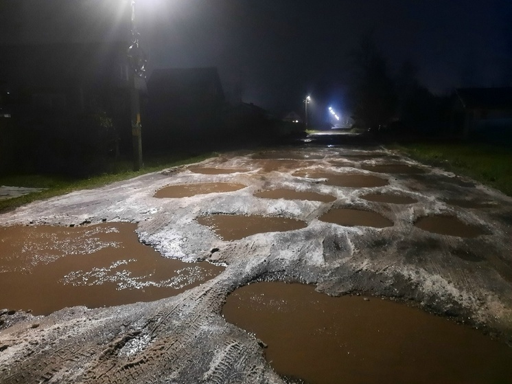 В Рыбинске жители показали самую страшную дорогу города.