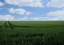 В Хабаровском крае подвели промежуточные итоги реализации программы «Гектар на Дальнем Востоке и в Арктике»