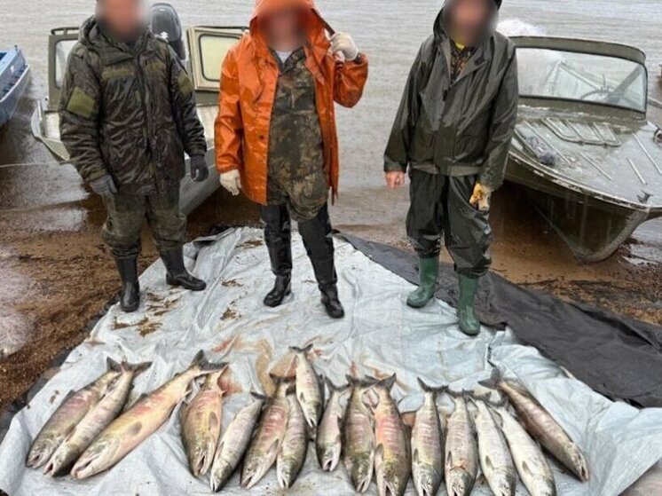 Браконьер на Амуре выловил кету на 340 тысяч рублей — полиция раскрыла преступление
