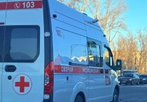 На прошлой неделе в Бийске двухлетний мальчик случайно съел таблетку от тараканов. Ребенка спасли благодаря быстрой реакции родителей и оперативному вмешательству медиков.