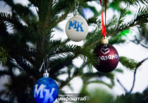 В этом новогоднем сезоне россиянам будет доступно около 500 тысяч живых хвойных деревьев, из которых 70% — отечественного происхождения