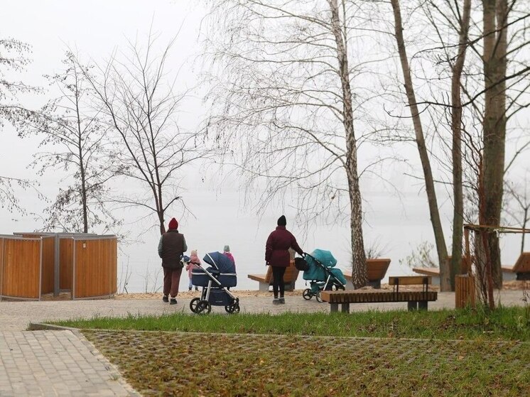 К субботе температура воздуха опустится в Воронежской области до 4 градусов мороза