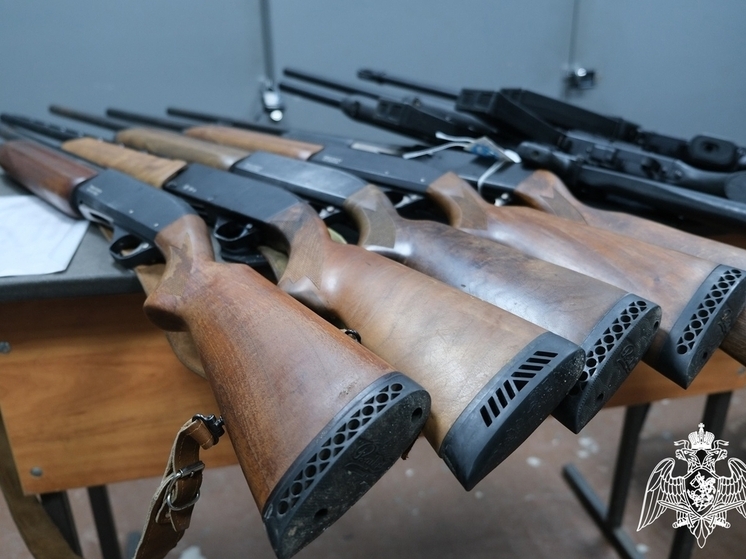 Куряне могут передать своё оружие для нужд СВО