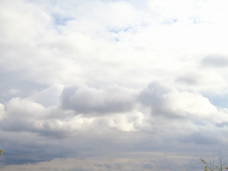 Синоптики прогнозируют в Астрахани облачную погоду без осадков 4 декабря