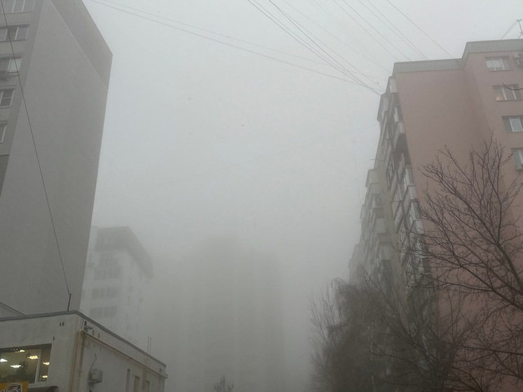 Сегодня в Саратовской области действует желтый уровень опасности из-за тумана