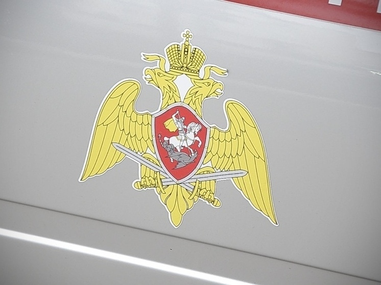 В Пензенской области росгвардейцы задержали нетрезвого мужчину на территории рынка