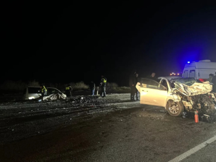 В Астраханской области корова спровоцировала ДТП со смертельным исходом