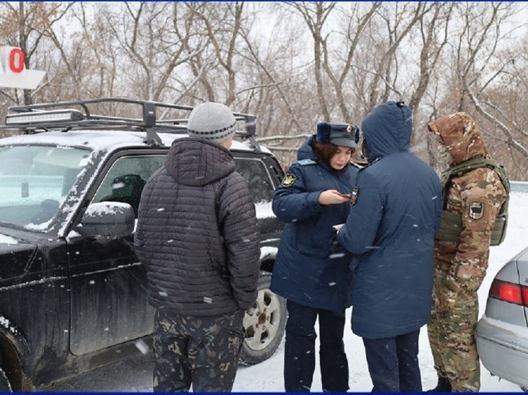 В Барнауле за один рейд судебные приставы арестовали сразу полсотни машин
