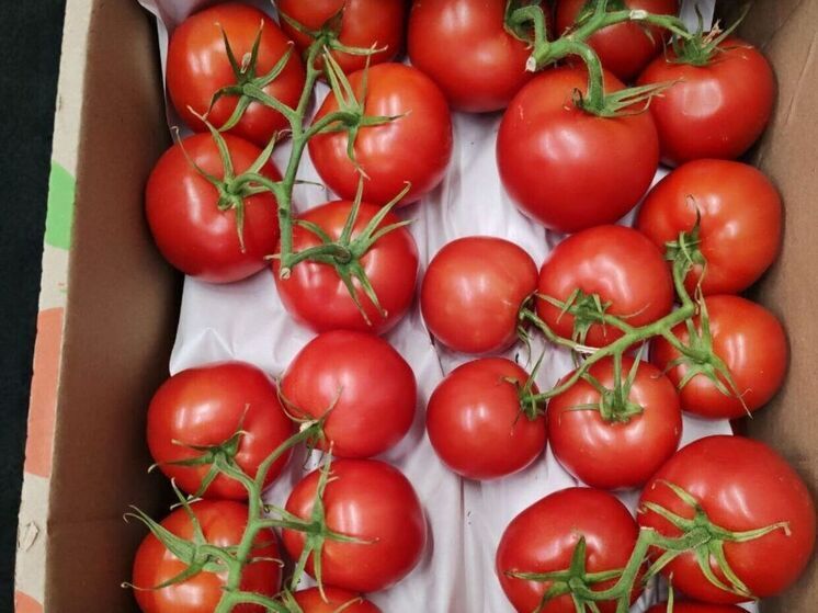 Казахстанский урожай пробил дорогу к столам кузбассовцев