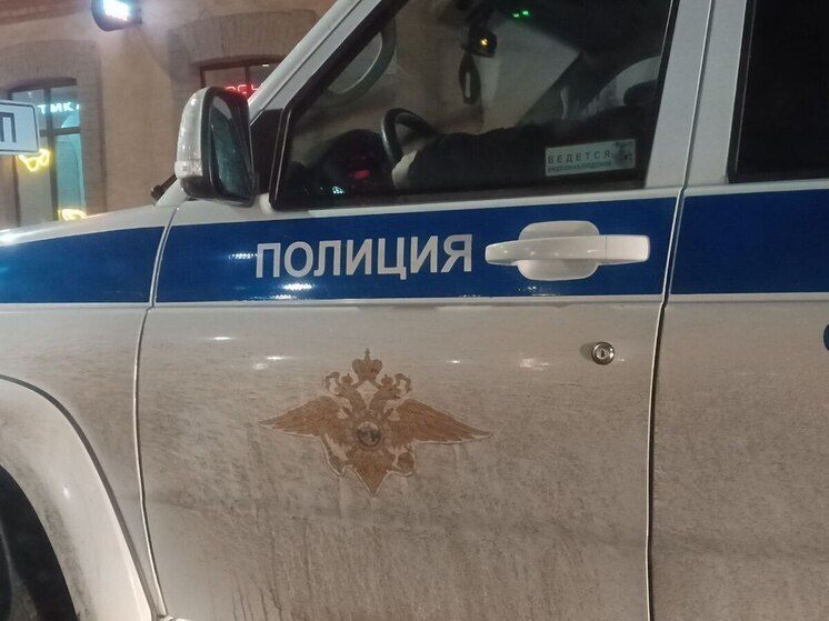 Новгородцы попались на незаконном выводе денег в теневой сектор экономики