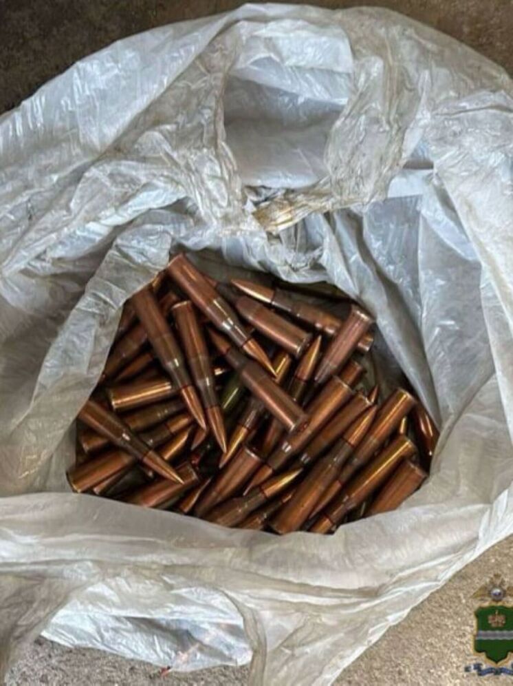 Около 1 000 патронов изъяли полицейские в Калужской области